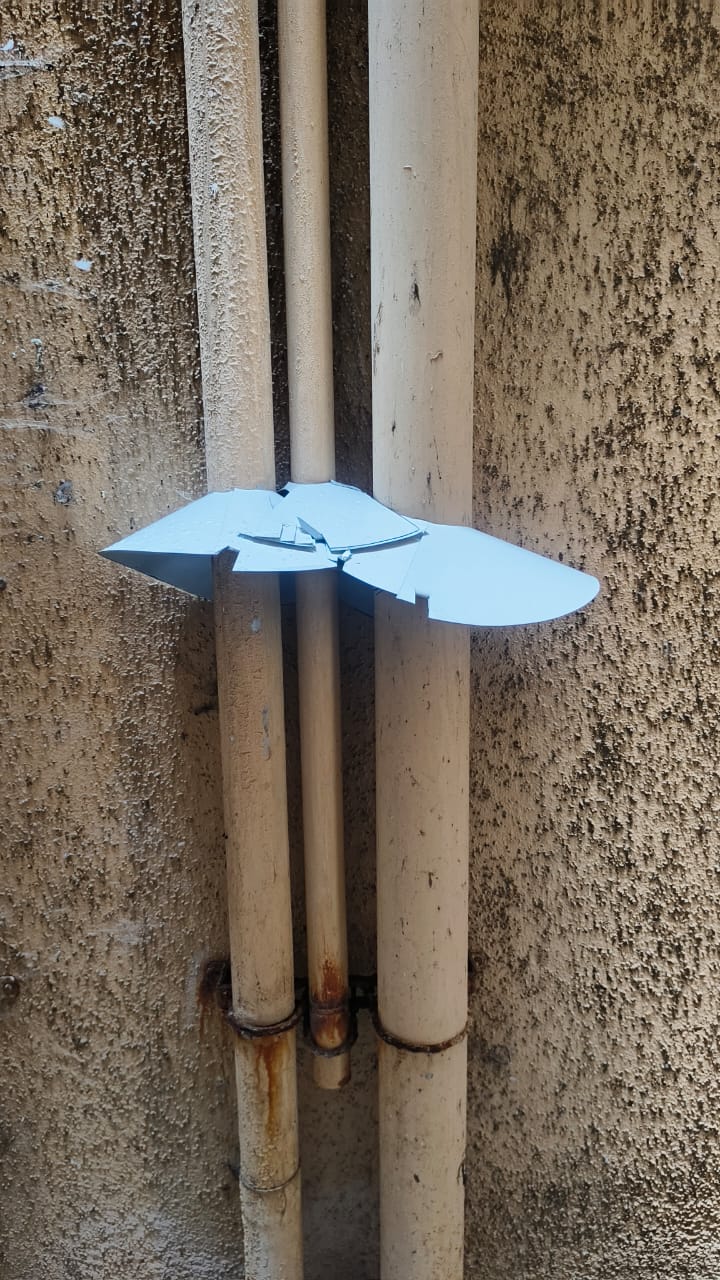 Rat Guard Image